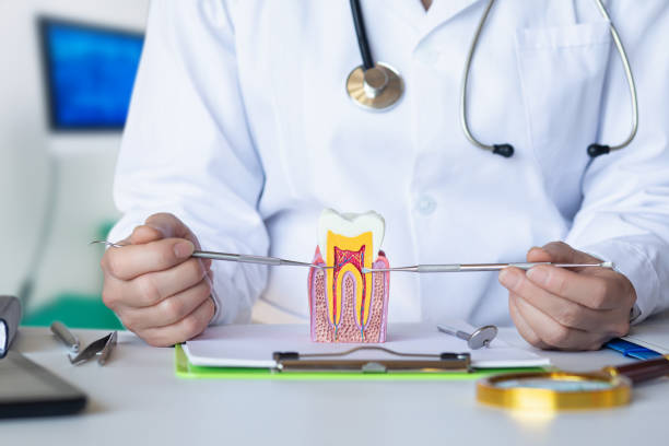 Best Emergency Dental Care for Abscessed Tooth in Fernandina Beach, FL